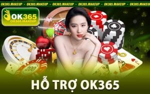 Hỗ Trợ Ok365