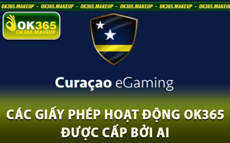 Giấy Phép Hoạt Động Ok365