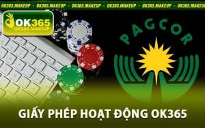 Giấy Phép Hoạt Động Ok365